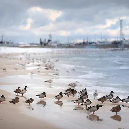 Bay * Władysławowo