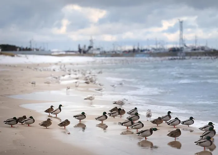 Bay * Władysławowo